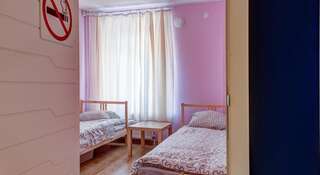 Гостиница ХостелыРус - Псков Псков Бюджетный двухместный номер с 1 кроватью или 2 отдельными кроватями-1